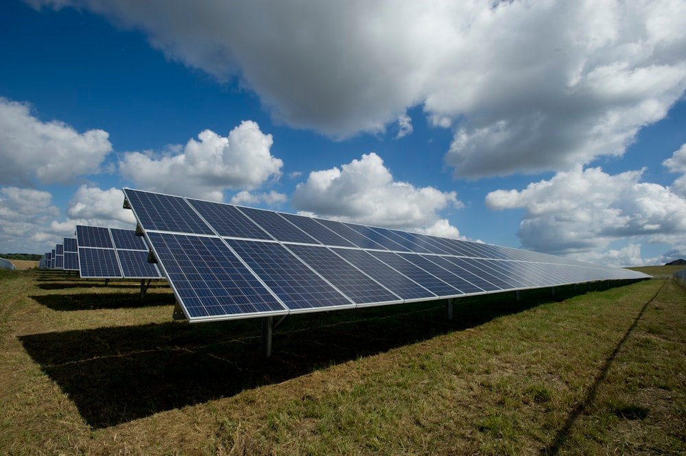 Loom Solar Mono Half Cut 445W Panel